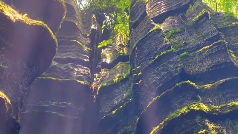 An underwater world 460 million years ago