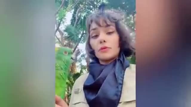 Smart_Parrot_Talking_-_Funny_Parrot_Video_2021_|_Pets_Island