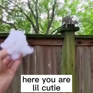 Truly a sad story 🤧😭