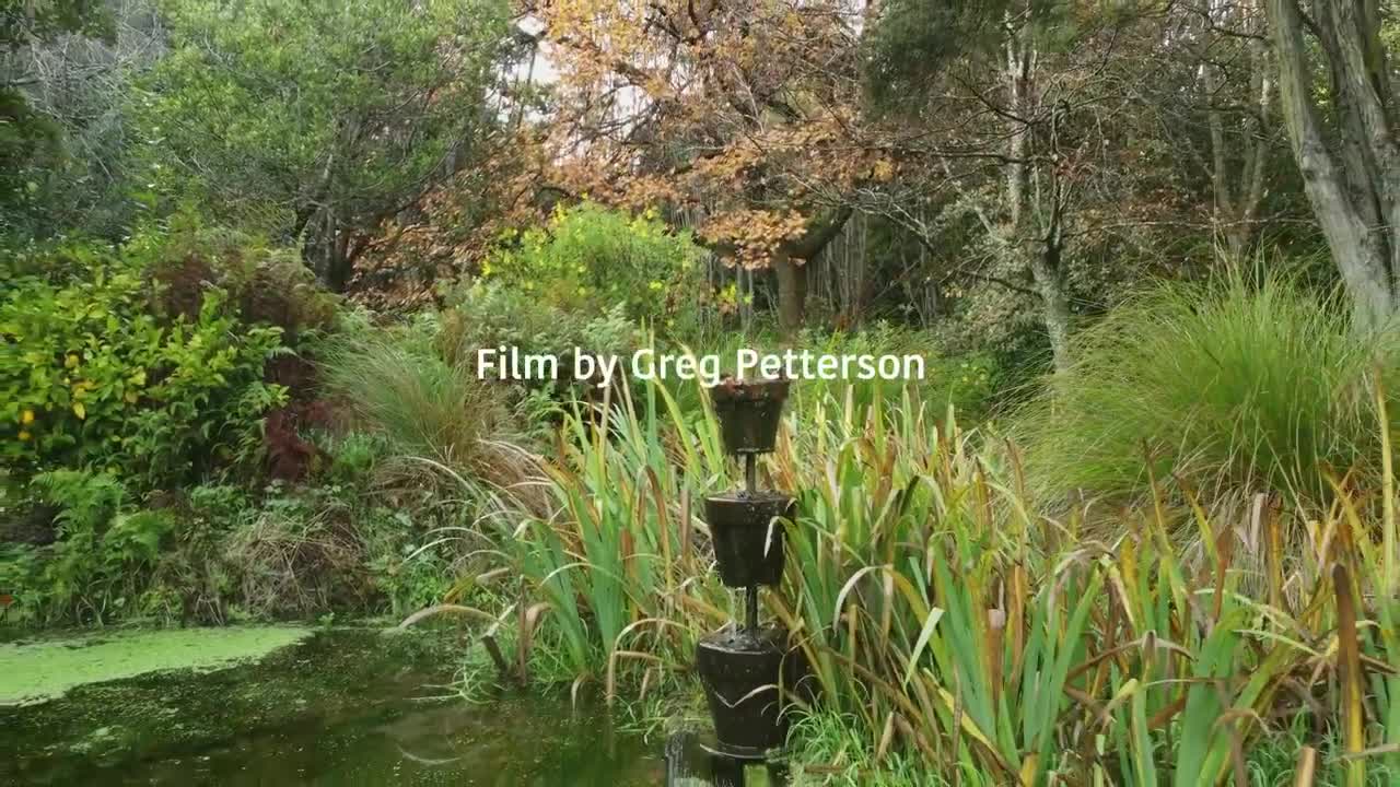 The Herb Farm Cottage Akaroa New Zealand - Winter 2021