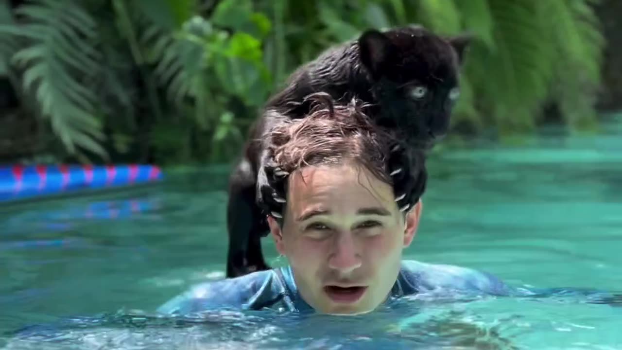 So proud of little dude, Noir's first swim lesson in the lagoon & he crushed it