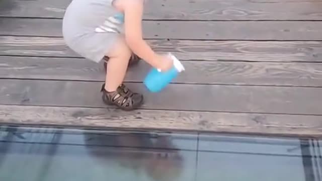 Toddler Attempts to Cross onto Glass Bridge _ ViralHog