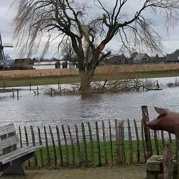 I met Myself. BLUNT! #PharmaStrike