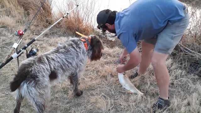 Camping fishing swan falls 3/22