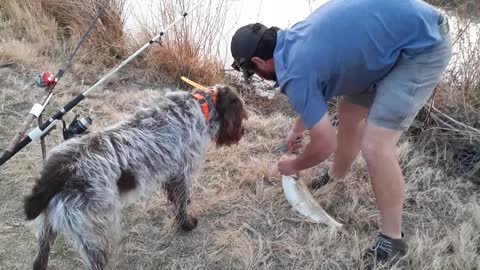 Camping fishing swan falls 3/22