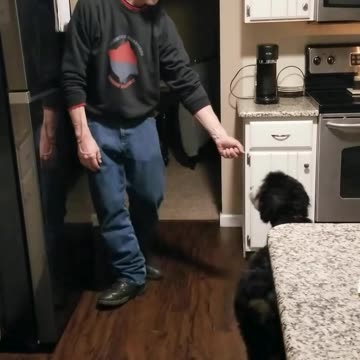 Roxy countersurfing clip 3