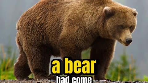 JOEY DIAZ SHIT IN NEIGHBOURS BACKYARD LOL