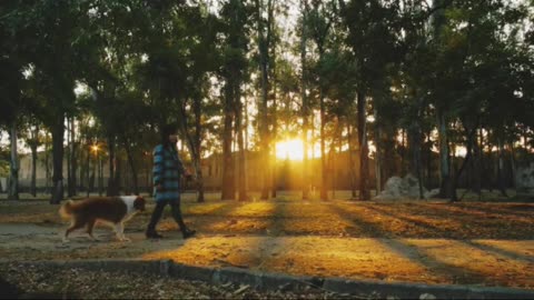 Get up early morning walk with Dog 🐕