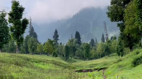 Arang Kel, Neelam Valley Kashmir