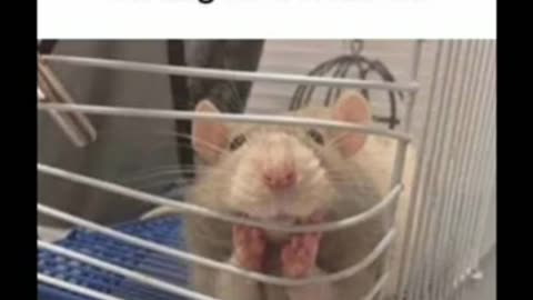 Memes that will make you laugh | Funny Memes 😂😂