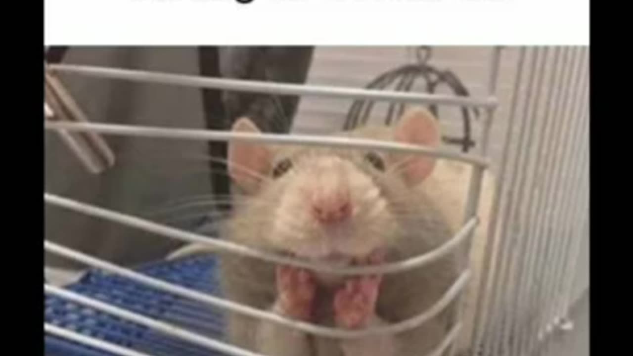 Memes that will make you laugh | Funny Memes 😂😂