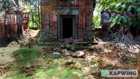 Greenery in Cambodia