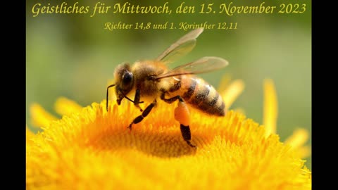 Geistliches für Mittwoch, den 15. November 2023