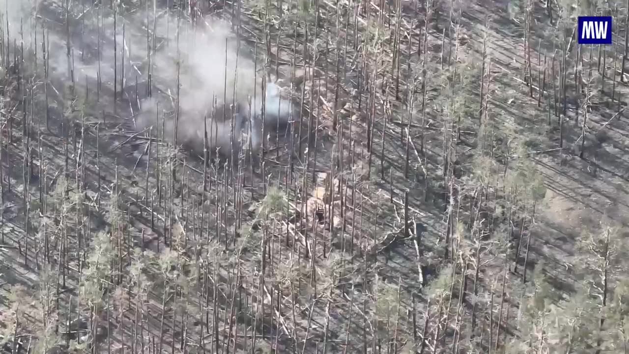 Airborne Forces firing from 120-mm self-propelled guns 2S9 Nona-S and 240-mm se