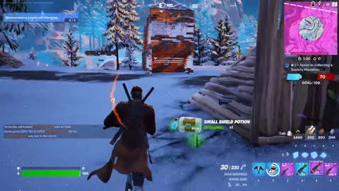 playing some fortnite