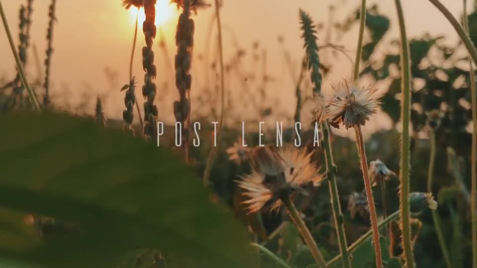 beatiful nature cinematic videos