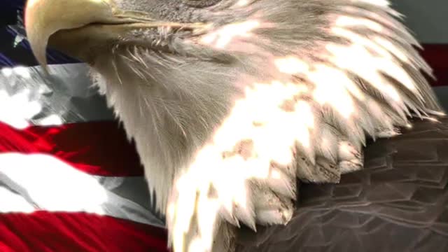 2450. 🚨 GET BIDEN 🚨 "GET SERIOUS" -Gorka