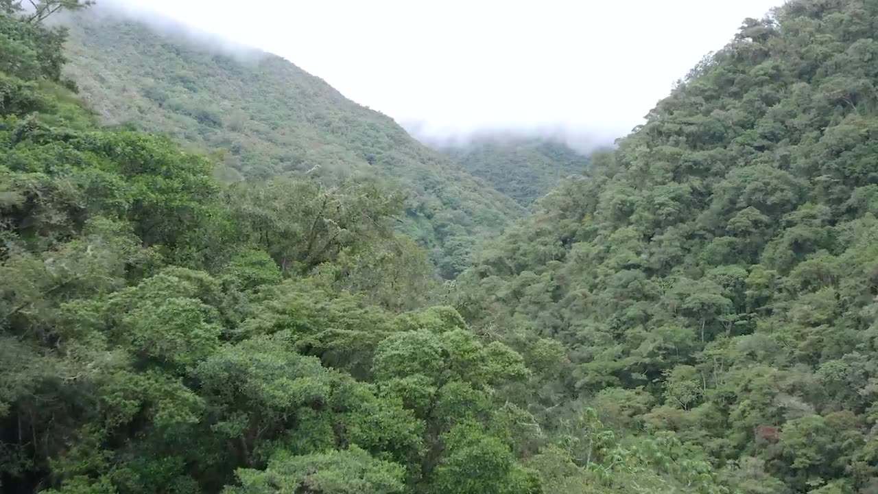 day 1 inside the AMAZON RAINFOREST || jungle lodge TOUR Victoria Rose