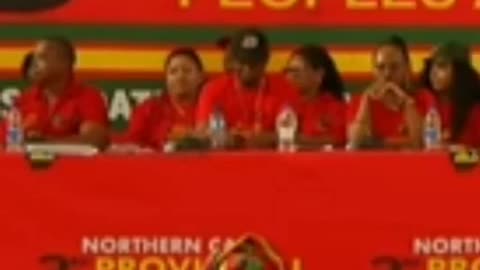 Julius Malema - The Borders Were Imposed on Africans By Imperialists