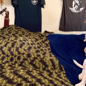 Death Kitty bullying Deadpan Dog