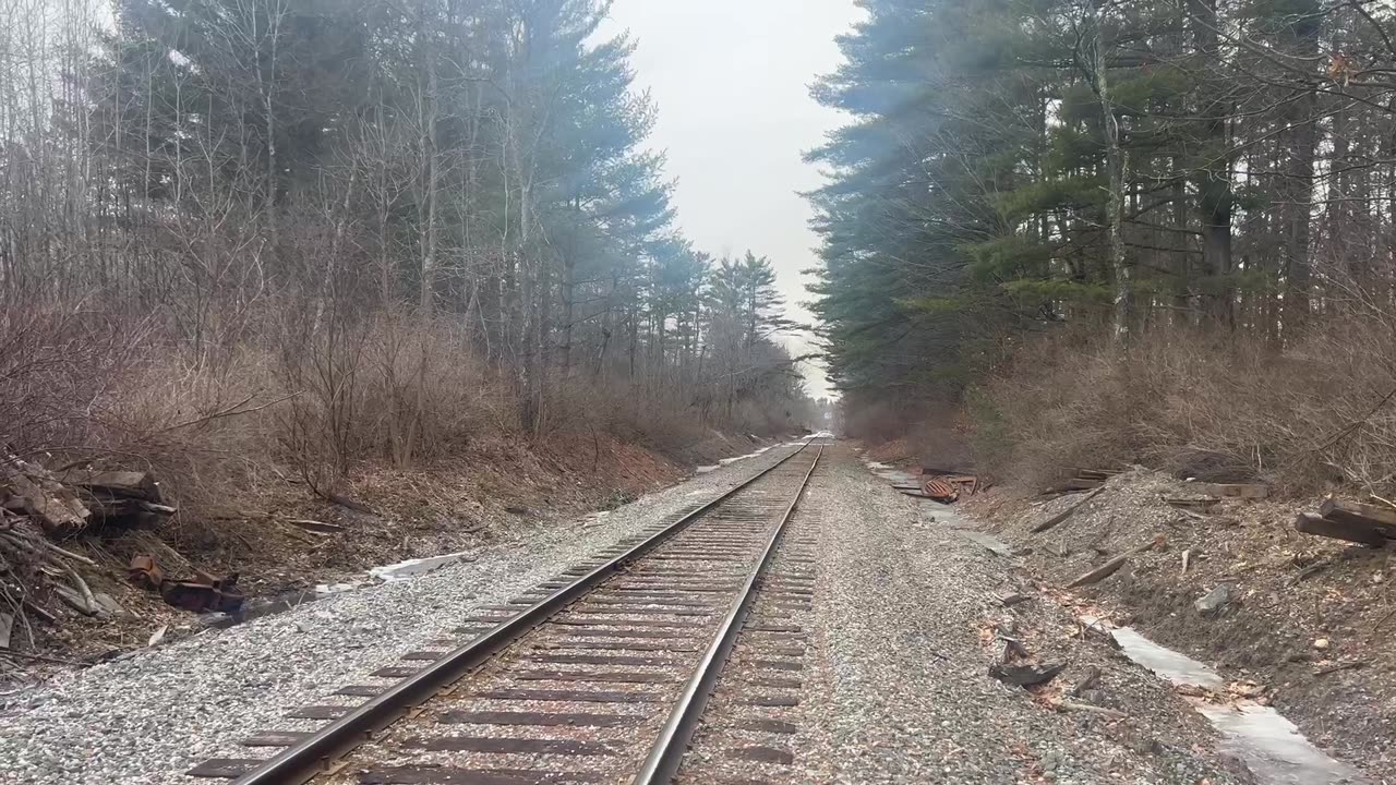 train hopping maine