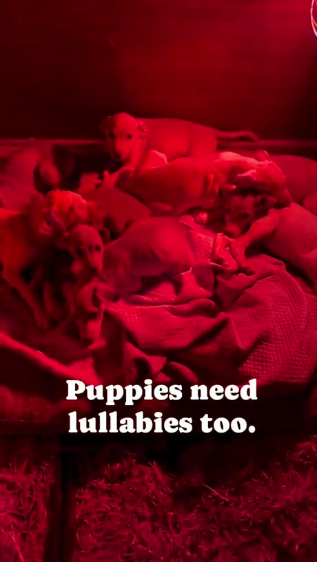 I'm not crying, you're crying