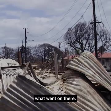 Lahaina Resident and art gallery owner Bill Wyland explains the 70+mph wind effects