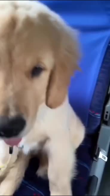 Dream job of my life🤭