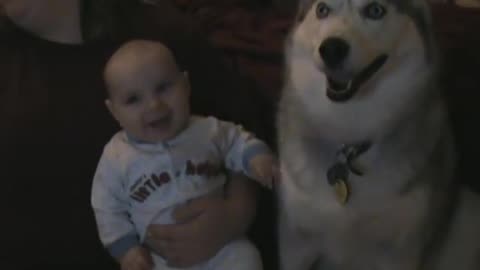 Dog Makes Baby Laugh