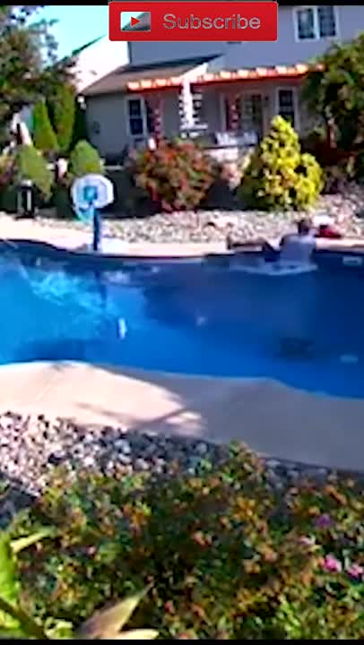 amazing funny Video Clips #shorts (180)