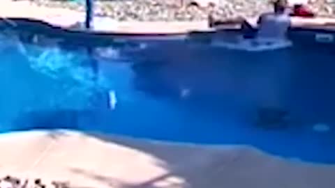 amazing funny Video Clips #shorts (180)