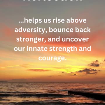 Wisdom and Reflection