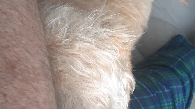 BERKELEY SNORES LIKE DARTH VADER