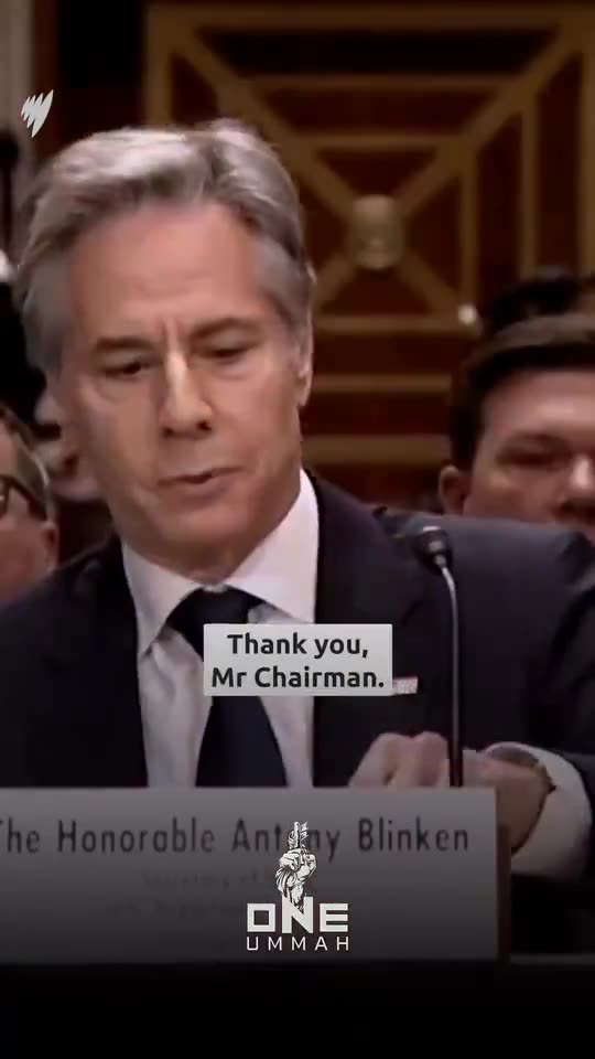 ►🚨▶ ⚡️⚡️🇮🇱⚔️🇵🇸 Protestors Captured Live. Gaza Murder Declaration. Archived. Forever. 🔴✡️ 🕍 🇮🇱|