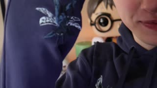 Freshly Caught Cornish Pixies Sweatshirt #harrypotter #clothing