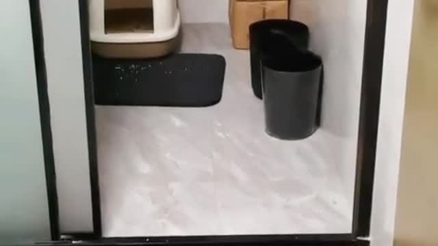 Can u see me😺😂