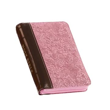 King James Version Holy Bible, Mini Pocket Size, Faux Leather Red Letter Edition