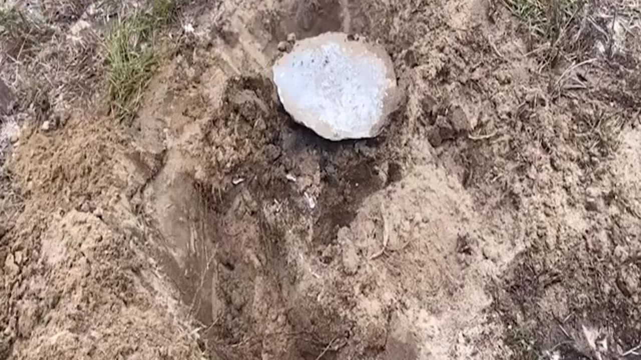 Watch A Large Harvester Ant Colony With Molten Aluminum