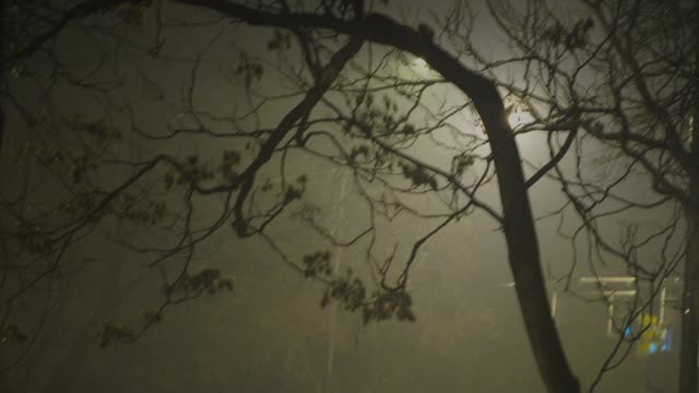 Psalmus Ode (What Blooms at Night)