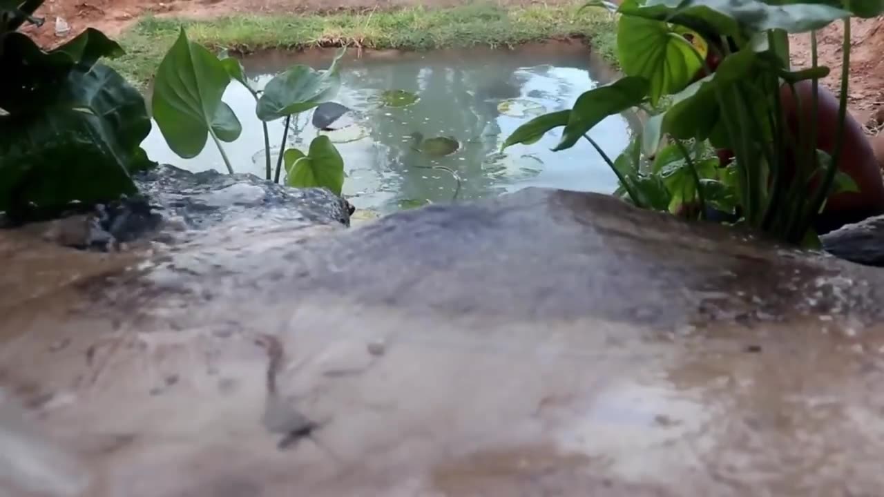 Build beautiful waterfall fish pond