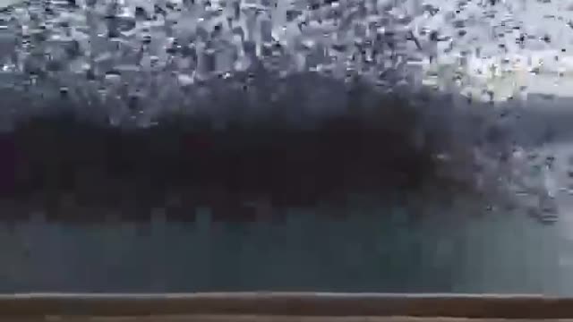 weeks ago in greece From whom are these birds fleeing?...Are they announcing something...?