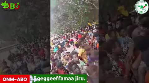 Hiriira Labsii Lagannaa fi Uggura Geejjibaa marsaa lammaffaaf geggeeffamaa jiru.