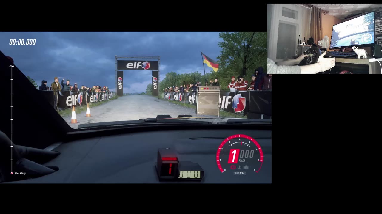 Dirt Rally 2.0 - Citroen C4 WRC - Germany - Highlights