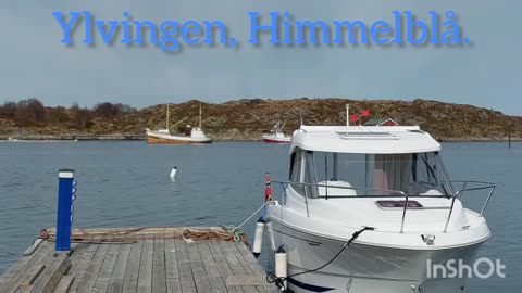 Ylvingen, Himmelblå.