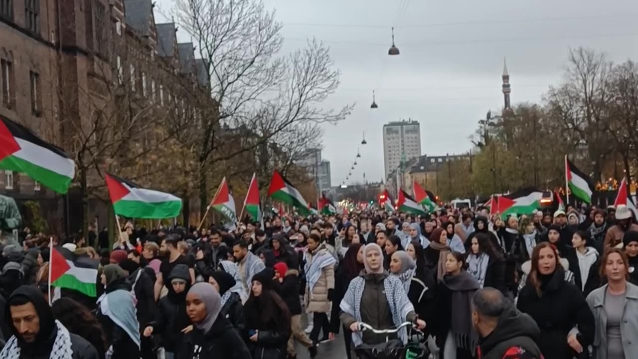 Free Palestine Demonstration in Denmark