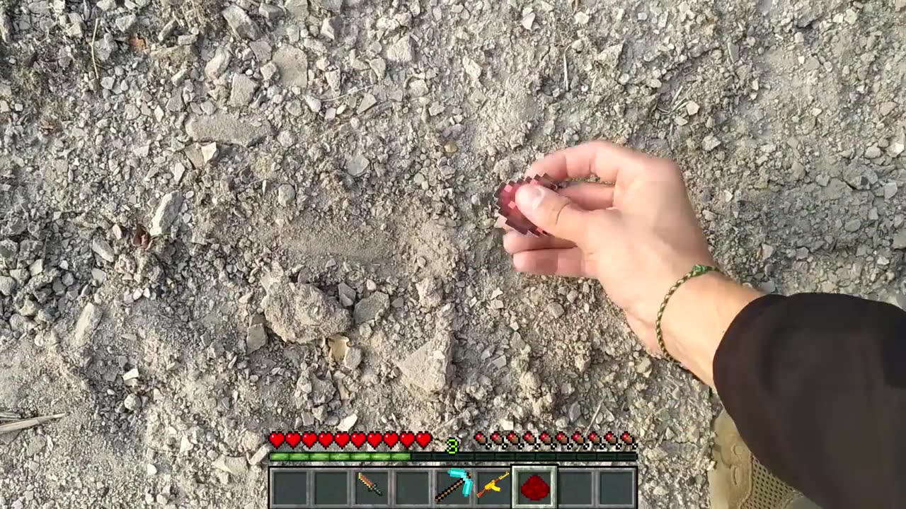 Minecraft in real life POV