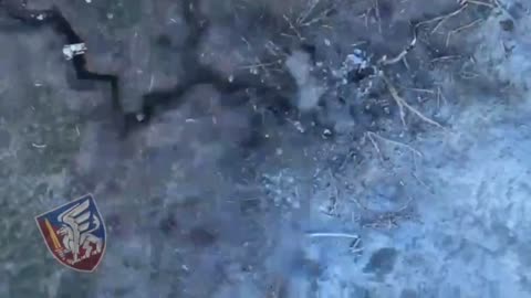 Ukrainian Drones Hit Russian Positions