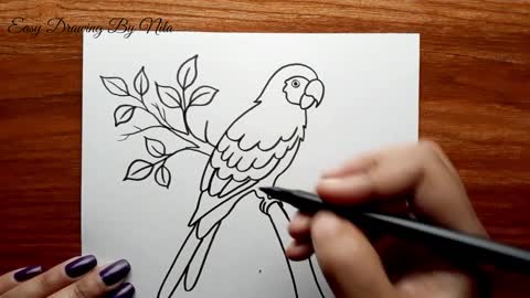 Parrot Drawing Step by Step -- How to Draw Parrot -- Parrot Drawing Colour