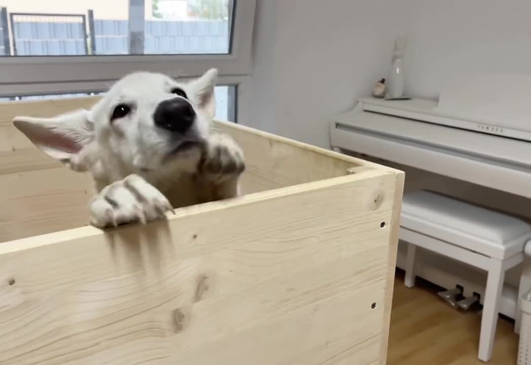 Small lovely