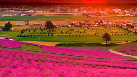 Beautiful nature ❤️❤️❤️ with beautiful song
